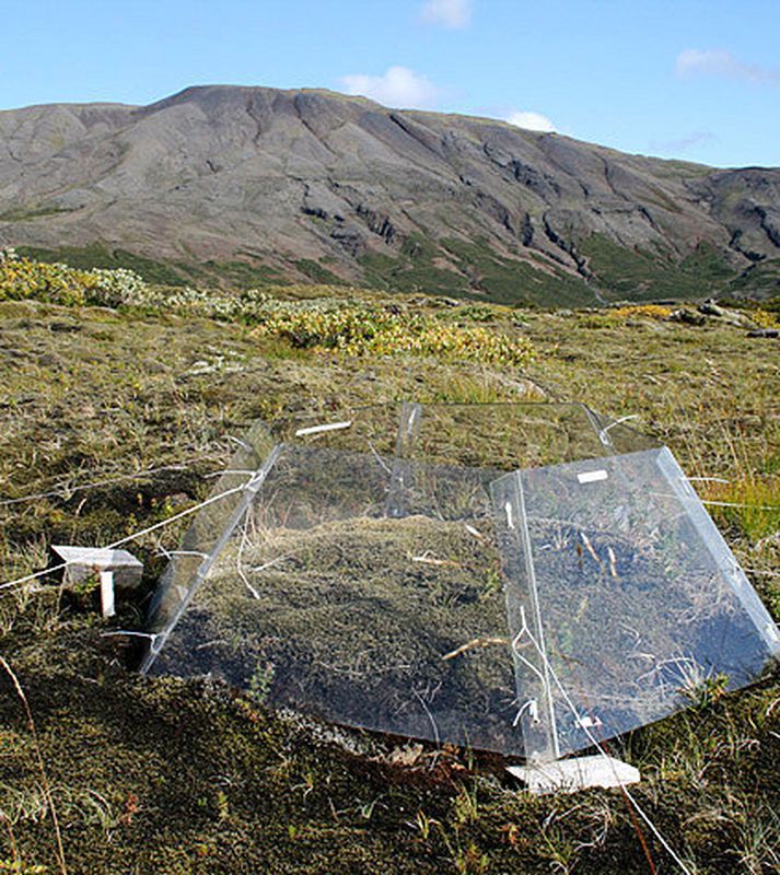 Plastbúr á vegum Ingibjargar Svölu Jónsdóttur sem starfað hefur undir merkjum International Tundra Experiment í yfir tuttugu ár.