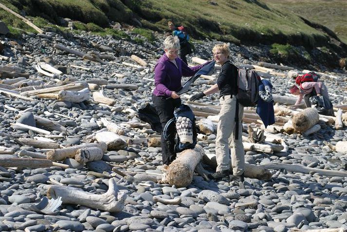 Í fyrra komu um 60 manns saman til hreinsunarstarfa.