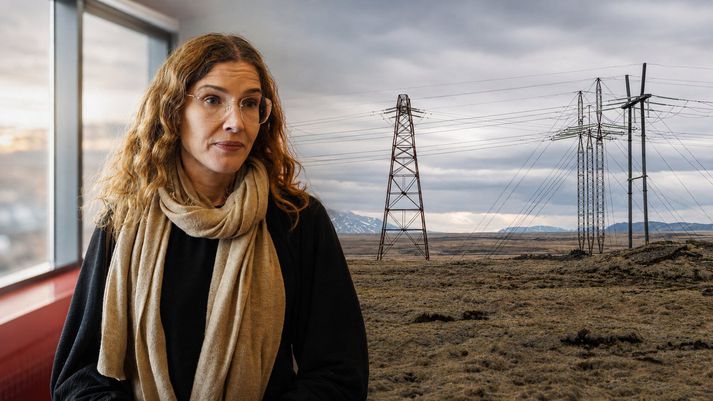 Margrét Einarsdóttir sérfræðingur í Evópurétti og prófessor í lögum við Háskólann í Reykjavík er einn þriggja höfunda að álitsgerð um náttúruauðlindir í tengslum við Evrópurétt. 