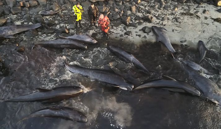 Frá aðgerðum á vettvangi.