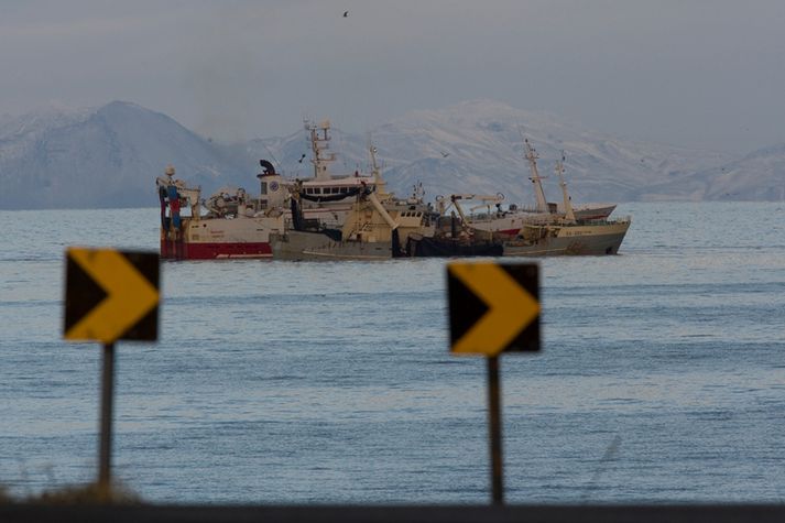 Samkvæmt ráðgjöfinni á heildarveiði á norsk-íslenskri síld ekki að fara yfir 646.075 tonn og ekki umfram 1.342.330 tonn af kolmunna.