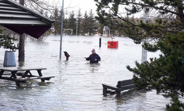 Kristinn H. Þorsteinsson, framkvæmdastjóri Skógræktarfélags Kópavogs, segir gleðina við völd í Guðmundarlundi nú sem endra nær.