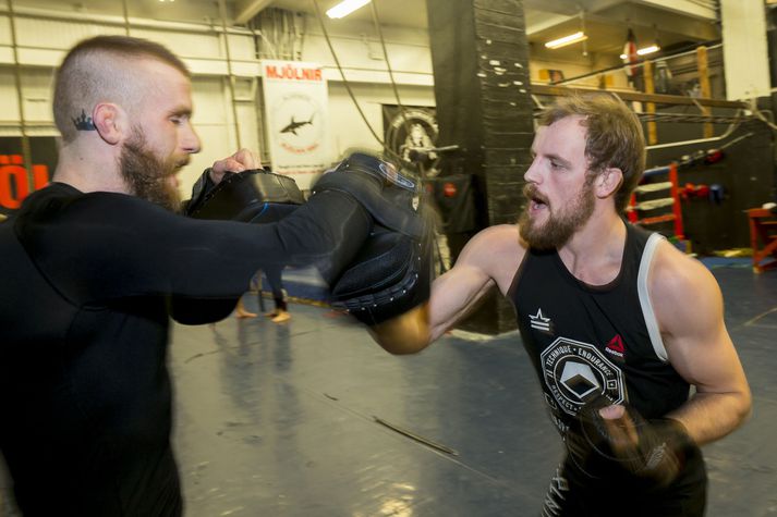 Evrópuráðið vill fá allar upplýsingar upp á borðið og skapa þekkingu á MMA fyrir ráðuneyti, MMA samtökin sjálf og fleiri samtök. Íþróttin er orðin feykilega vinsæl hér á landi, þökk sé framgöngu Gunnars Nelson.