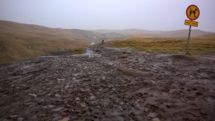 Mikil aurbleyta er á göngustígum við Skógafoss eins og sést á þessari mynd.