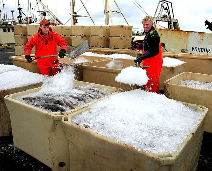 Ísað á bryggjunni Verðmæti afla sem fluttur er óunninn úr landi hefur aukist mikið milli ára. Verðmæti sjófrystra afurða dregst nokkuð saman.  Markaðurinn/GVA