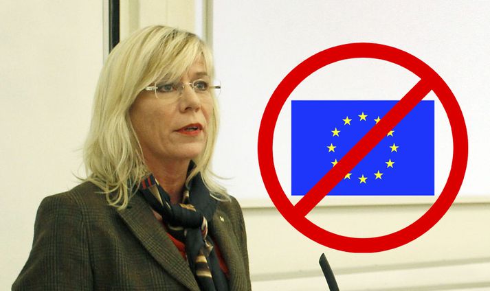 Ráðstefnan er haldin á vegum íslensku samtakana Nei við ESB og norsku samtakana Nei til EU.