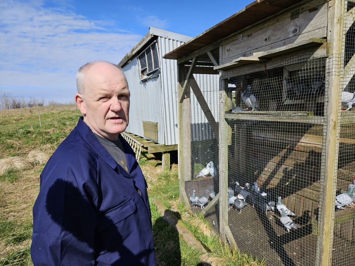 Ragnar hefur náð mjög góðum árangri í sinni dúfnaræktun og unnið til fjölmarga verðlauna í gegnum árin.