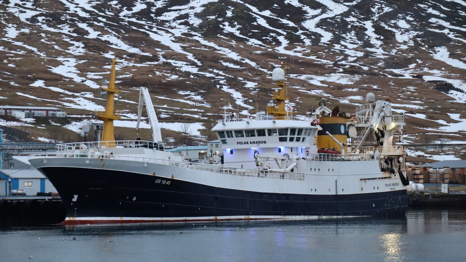 Norð­firðingar gleðjast að sjá loðnuna birtast