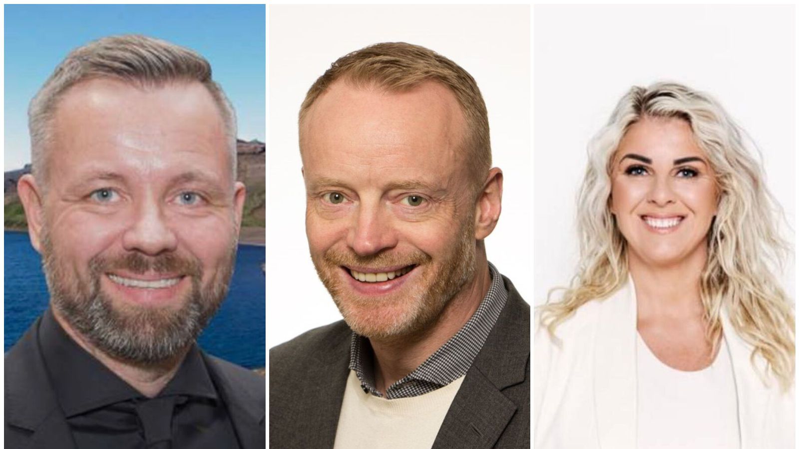 Vilja segja „já til að sjá“