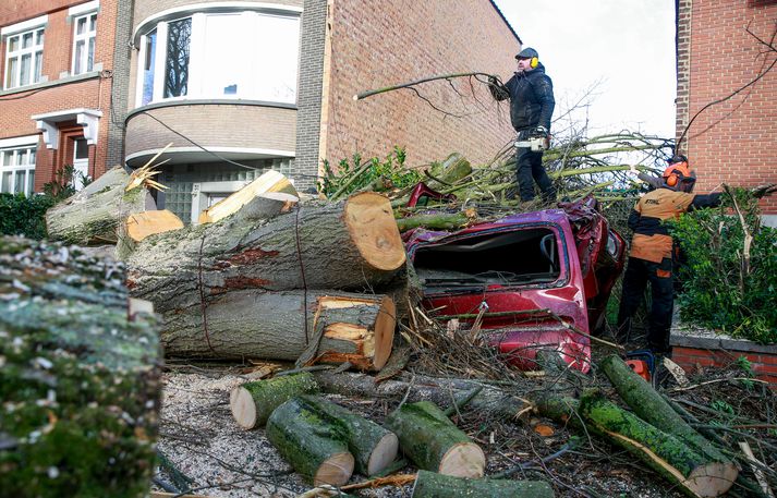 Bæjarstarfsmenn hreinsa upp tré sem féll á götum Brussel eftir storminn Ciara.