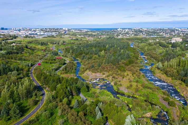 Skákmennirnir tveir hittust fyrir tilviljun í Elliðaárdal að kvöld keppnisdags.