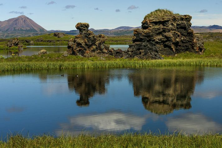 Mývatnssveit er einn vinsælasti ferðamannastaður landsins og svæðið því undir miklu álagi.
