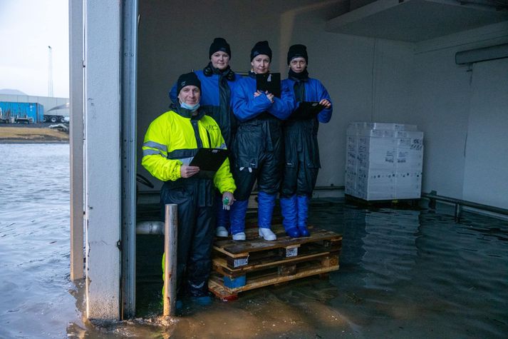 Frystihúsið Vísir í Grindavík hefur orðið fyrir stórtjóni vegna sjósins sem flætt hefur inn í frystihúsið í morgun.