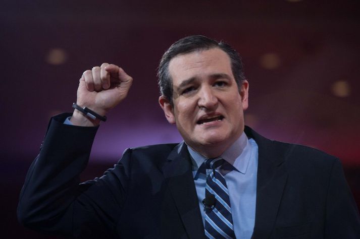 Ted Cruz er 44 ára öldungadeildarþingmaður Texas og tilheyrir Teboðshreyfingunni svokölluðu.