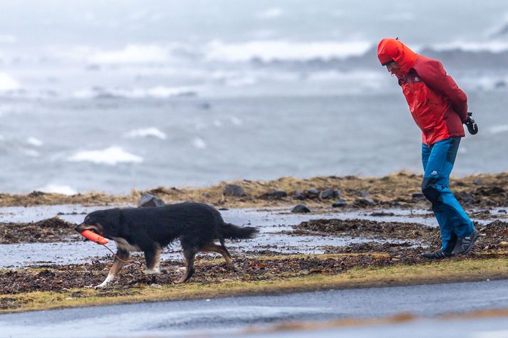 Gular viðvaranir eru í gildi á Suðurlandi og Suðausturlandi fram á kvöld.