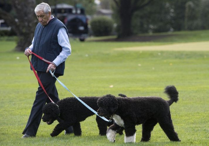 Starfsmaður Hvíta hússins viðrar Bo og Sunny, hunda Obama-fjölskyldunnar.