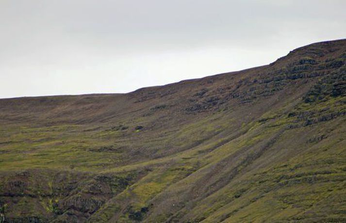 Fréttamynd
