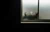 Fréttamynd