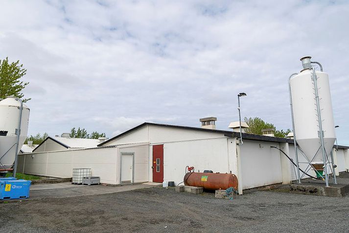 Brotist var inn í Reykjabúið á Suður-Reykjum í Mosfellsbæ aðfaranótt mánudagsins 1. júní. 