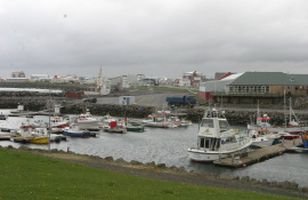 Fréttamynd
