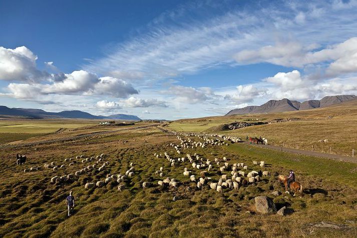 Þessi mynd Hjalta Árnasonar bar sigur úr býtum í haustljósmyndakeppni Fréttablaðsins í fyrra.