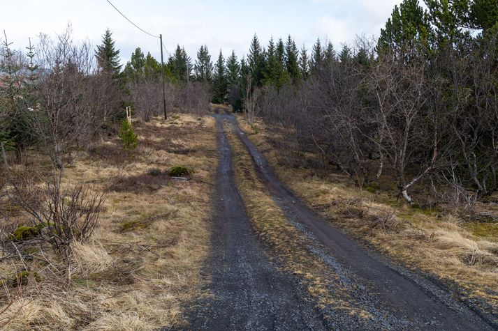 Pilturinn var skilinn eftir í Heiðmörk.