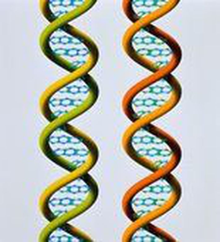 Nýjar breskar rannsóknir benda til þess að genamunur manna sé mun meiri en áður var talið.