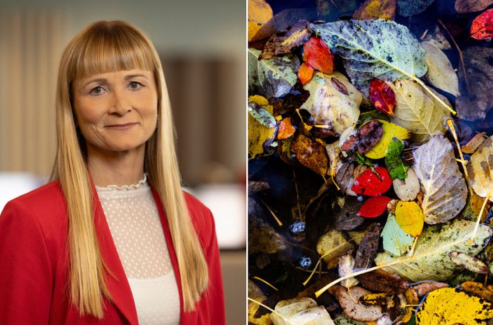 Sigrún Þorsteinsdóttir hvetur fólk til að hreinsa lauf frá niðurföllum og úr rennum. Vatnið finni sér alltaf farveg.