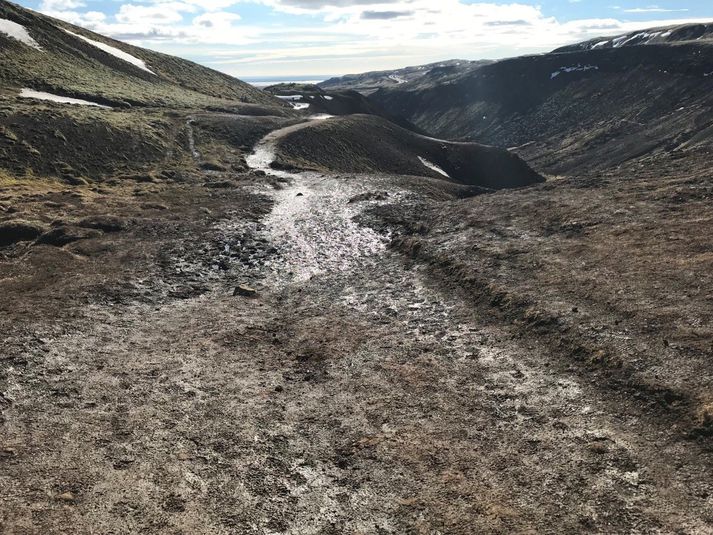 Eins og sjá má eru sum svæði í Reykjadal forarsvað eitt.