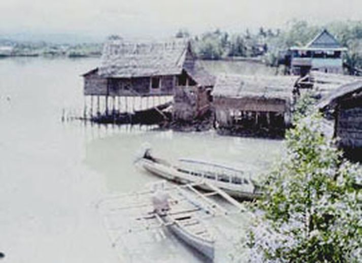Þorp á suðurhluta Sulawesi