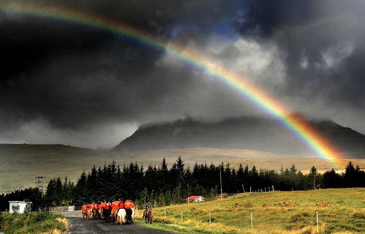 Regnbogi í Mosfellsdal.