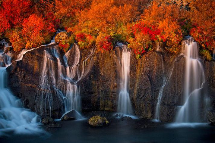 Hraunfossar
Lesendum Vísis og dómnefnd þótti mynd Margrét Elfu Jónsdóttur sú besta af þeim haustmyndum sem sendar voru inn.