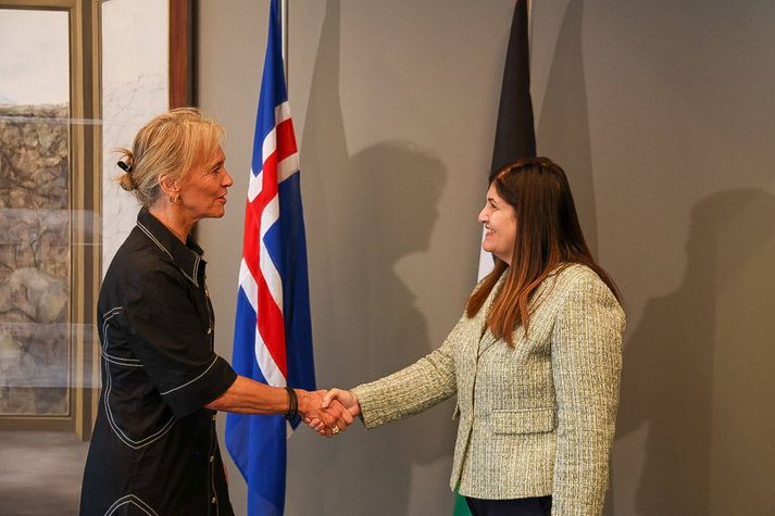 Ráðherrarnir takast í hendur við upphaf fundar þeirra í utanríkisráðuneytinu í morgun.