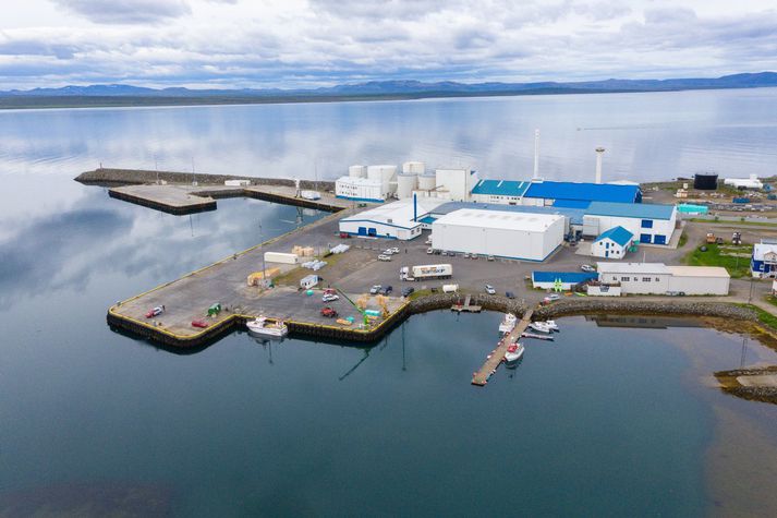 Þórshöfn á Langanesi fékk sinn fyrsta loðnufarm í gær úr grænlensku skipi. Uppsjávarvinnslan er í eigu Ísfélags Vestmannaeyja. 