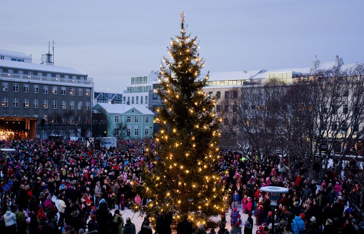 Oslóartrén taka sig jafnan vel út á Austurvelli.