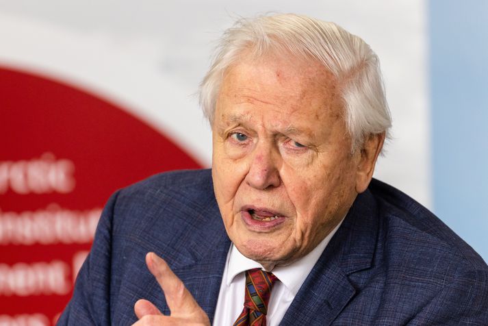 David Attenborough er þulur allra þáttanna sex sem voru framleiddir. BBC ætlar aðeins að sýna fimm þeirra í sjónvarpi af ótta við gagnrýni.