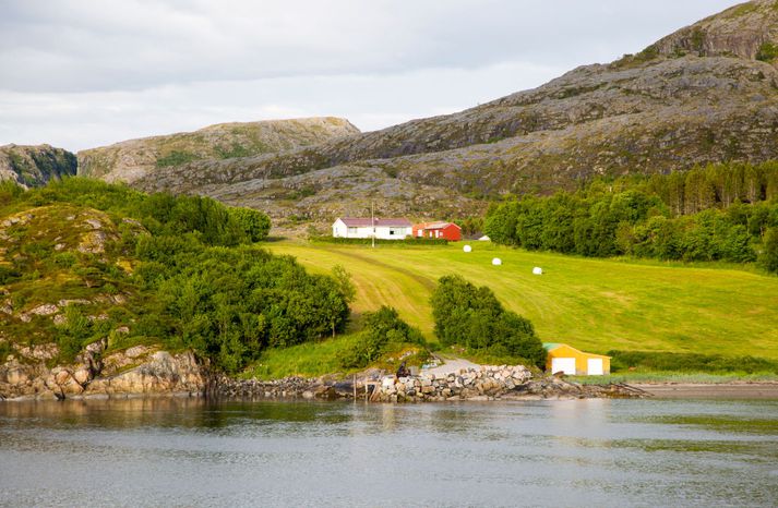 Sumarið hefur reynst norskum bændum mjög erfitt.