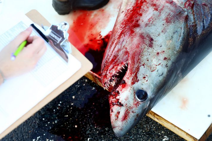 Málið er til rannsóknar.