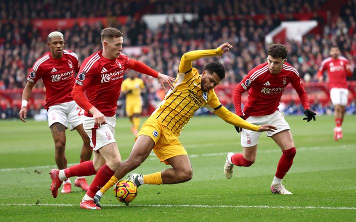 Brighton tekur á móti Nottingham Forest í átta liða úrslitum FA bikarsins. 