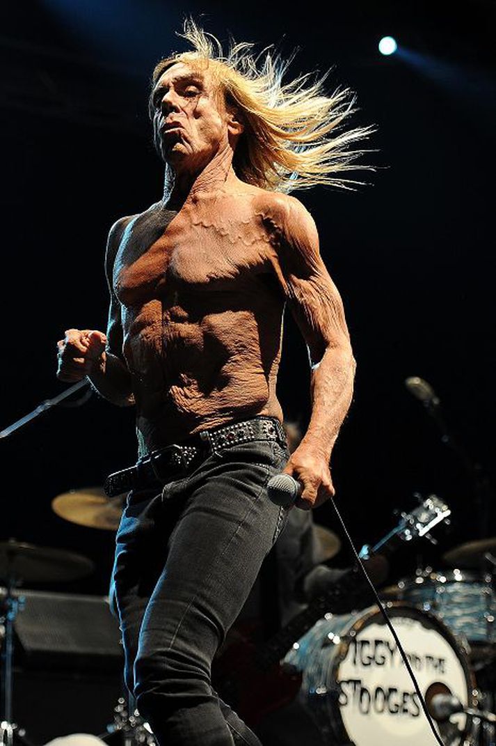 ber að ofan Iggy Pop, að sjálfsögðu ber að ofan, á Bluefest Byron Bay-tónlistarhátíðinni í Ástralíu fyrir skömmu.Nordicphotos/getty