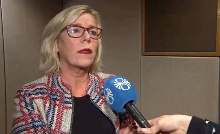 Vigdís Hauksdóttir í smá vandræðum í viðtali.