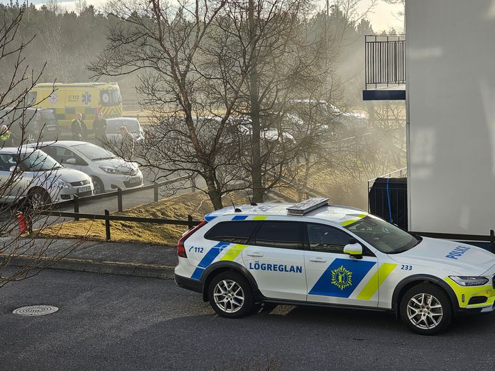 Töluverðan reyk lagði frá eldinum sem kviknaði í rafhlaupahjólinu í Bökkunum í Breiðholti.