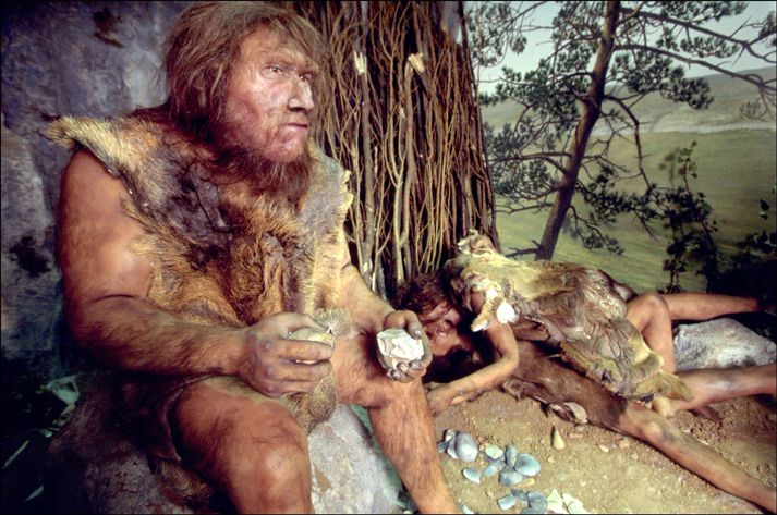 Vaxmynd af Neanderthalsmanni á frönsku safni.