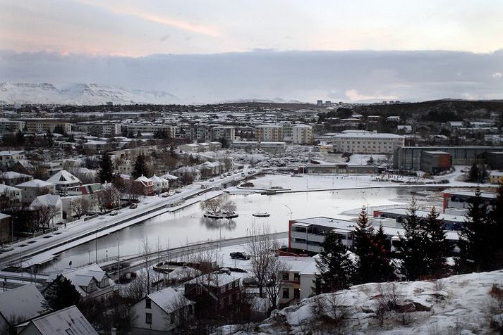 Hindra á að ungarnir við Lækinn í Hafnarfirði hverfi ofan í ræsi og vernda þá með ýmsum öðrum aðferðum.