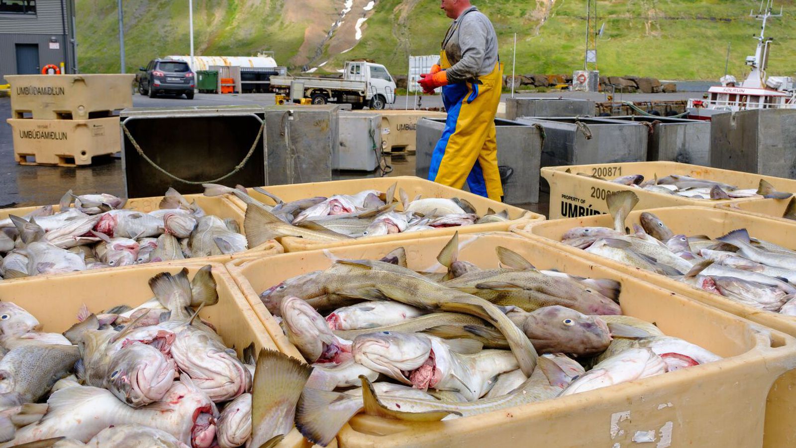 Fisk­verð í hæstu hæðum og strandveiðimenn brosa allan hringinn