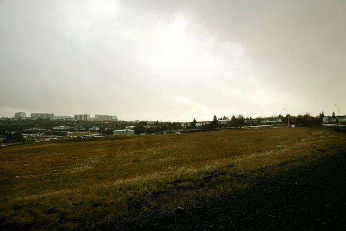 Árið 2006 var hugmyndin að reisa mmosku við hliðina á Staldrinu. Þá áttu Múslimar fá lóð á hálfgerðu malarsvæði í jaðrinum á Elliðaárdalnum, nánar tiltekið við hliðina á Staldrinu í Reykjavík. 
