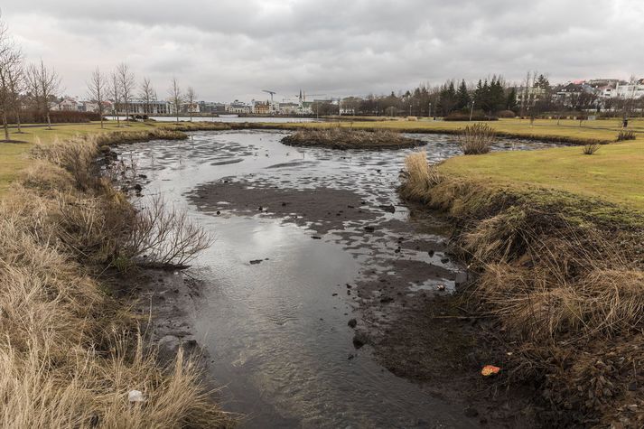 Þorfinnstjörn stendur vart undir nafni þessa dagana - hún er manngerð.