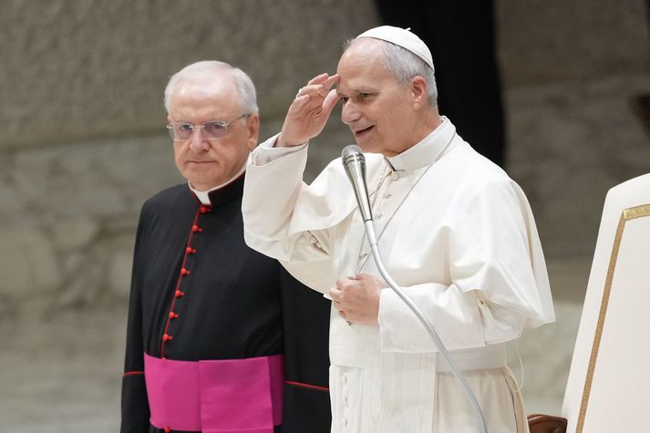 Leó páfi hélt sína fyrstu „Allocutio ad Corpus Diplomaticum apud Sanctam Sedem“ ræðu fyrir helgi. Um er að ræða árlega ræðu sem páfi flytur snemma á hverju ári.