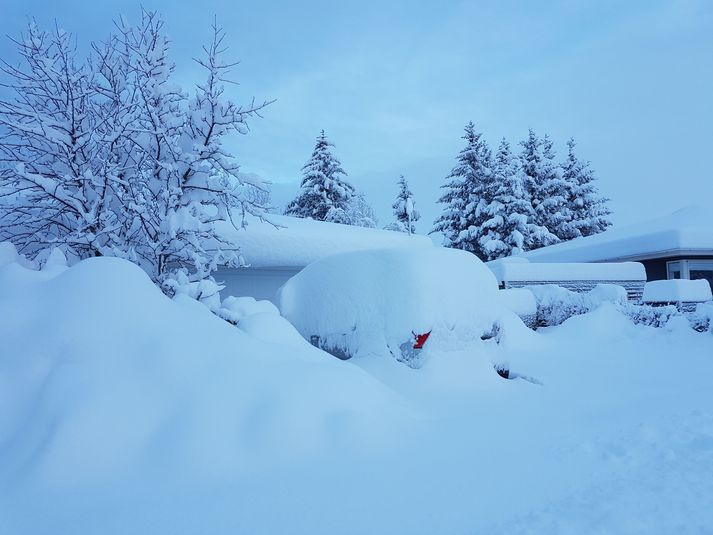 Snjórinn á höfuðborgarsvæðinu er kominn til að vera næstu daga.