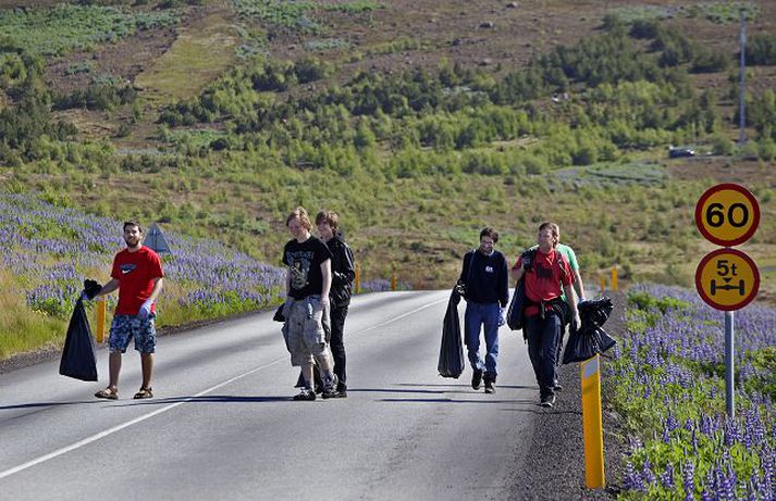 Hér má sjá ungmenni tína rusl í landi Garðabæjar einn góðviðrisdaginn í byrjun júní á þessu ári. Stjórnvöld hafa beitt sértækum aðgerðum til að fást við atvinnuleysi meðal ungs fólks. Fréttablaðið/ Vilhelm